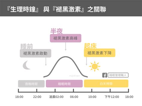 身體時鐘|【生理時鐘系列】何謂生理時鐘/日夜節律